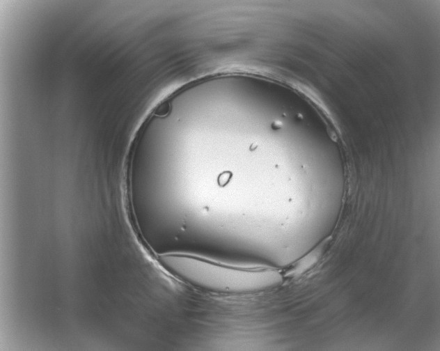 X0000064731048200602241711