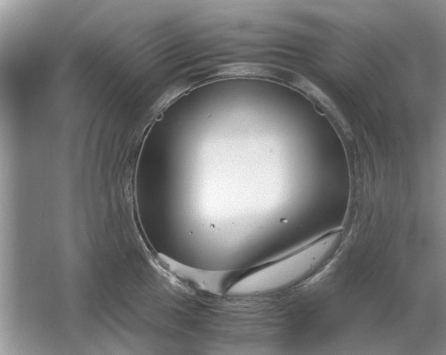 X0000064731049200602241711