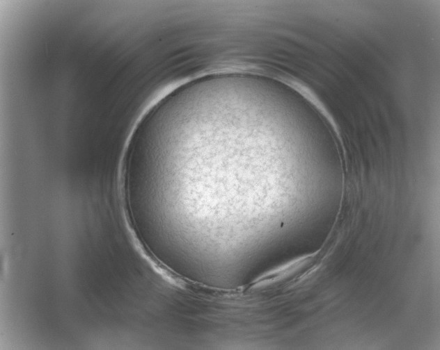 X0000064731053200602241711