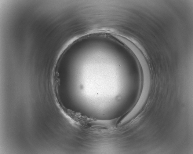 X0000064731054200602241711