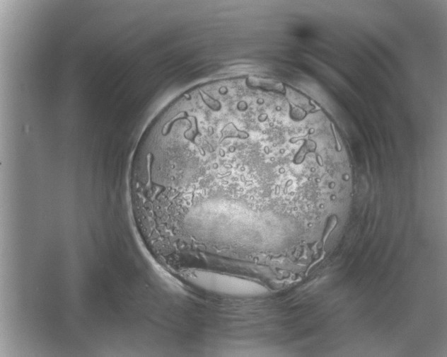 X0000064731055200602241711