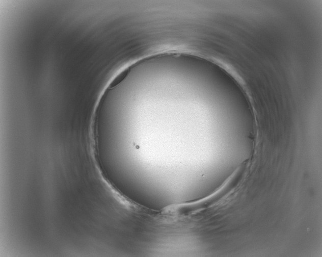 X0000064731056200602241711