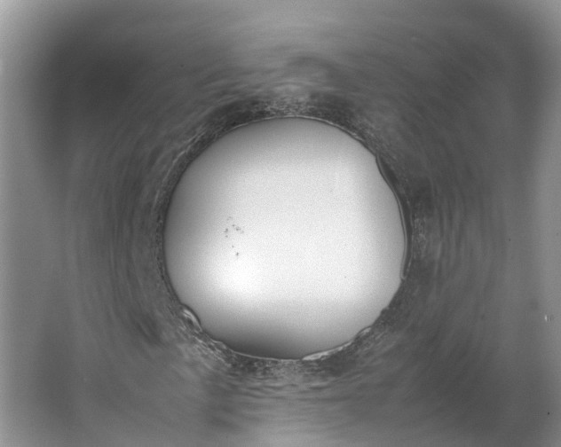 X0000064731057200602241710