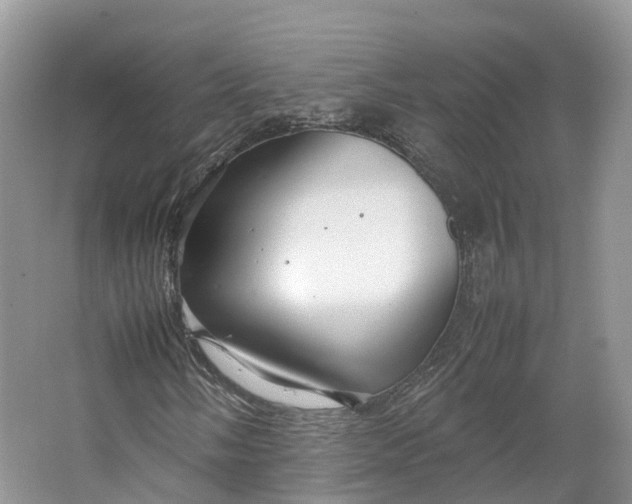 X0000064731058200602241710