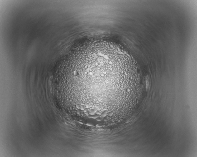 X0000064731059200602241709