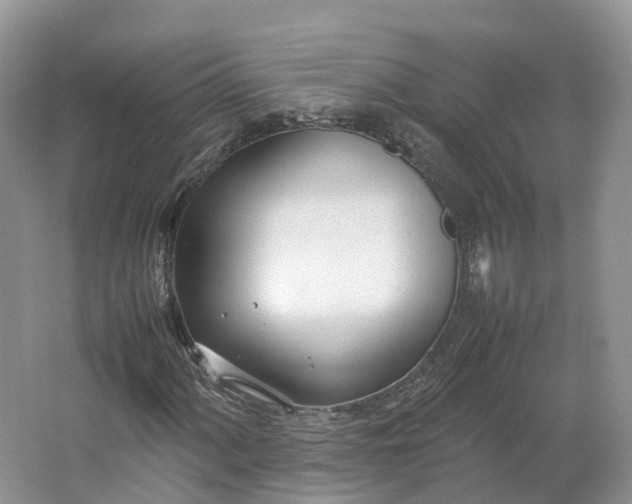 X0000064731060200602241709