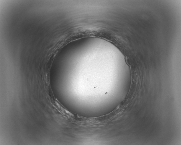 X0000064731061200602241709