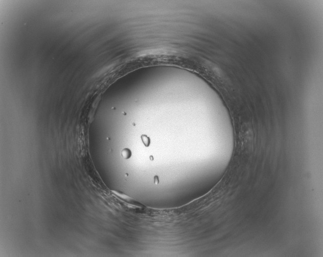 X0000064731062200602241709