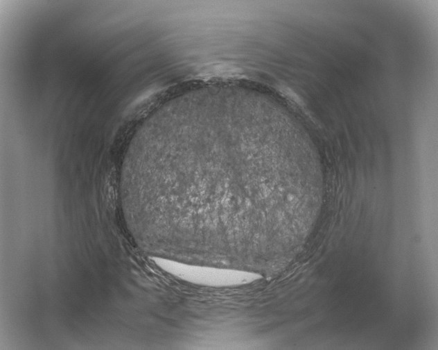 X0000064731063200602241709