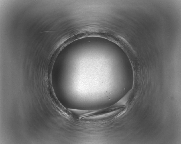 X0000064731065200602241709