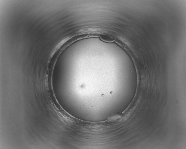 X0000064731066200602241709