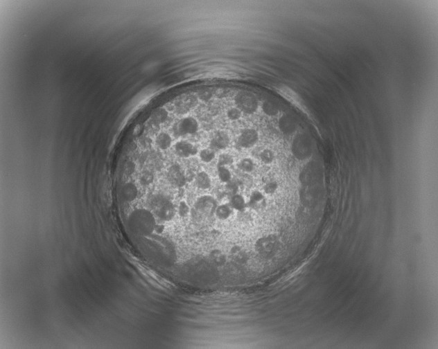 X0000064731067200602241709