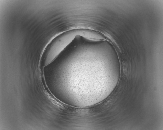 X0000064731068200602241709