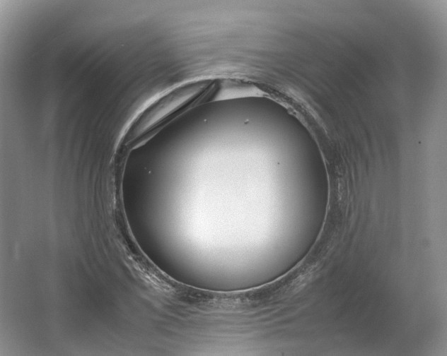 X0000064731069200602241709