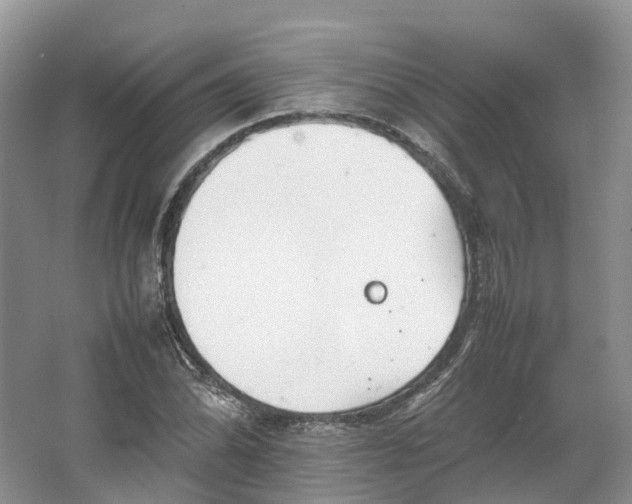 X0000064731070200602241709