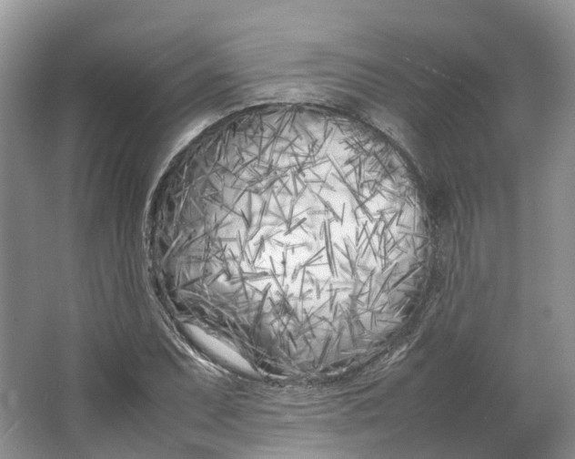 X0000064731071200602241709