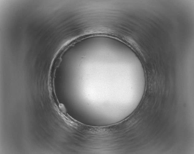 X0000064731072200602241709