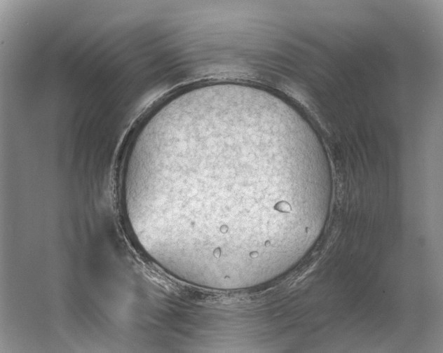 X0000064731074200602241709