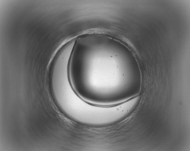 X0000064731075200602241709