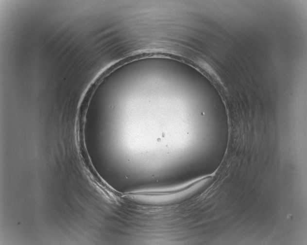 X0000064731076200602241709