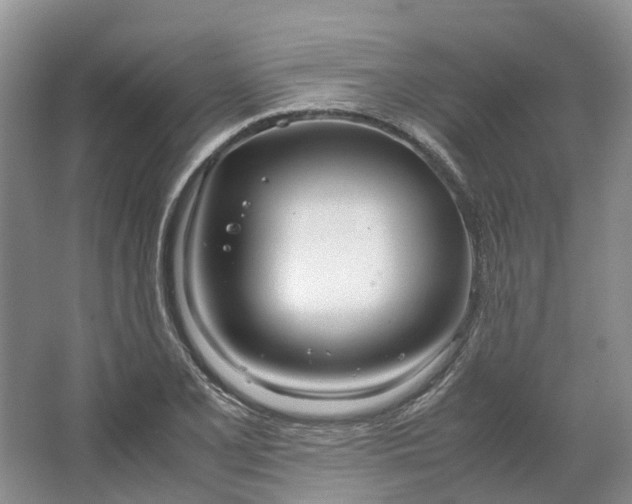 X0000064731077200602241709