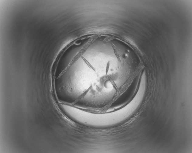 X0000064731079200602241709