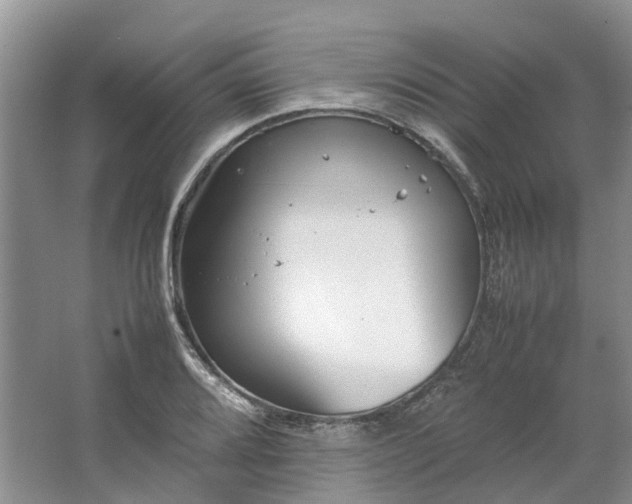 X0000064731080200602241709