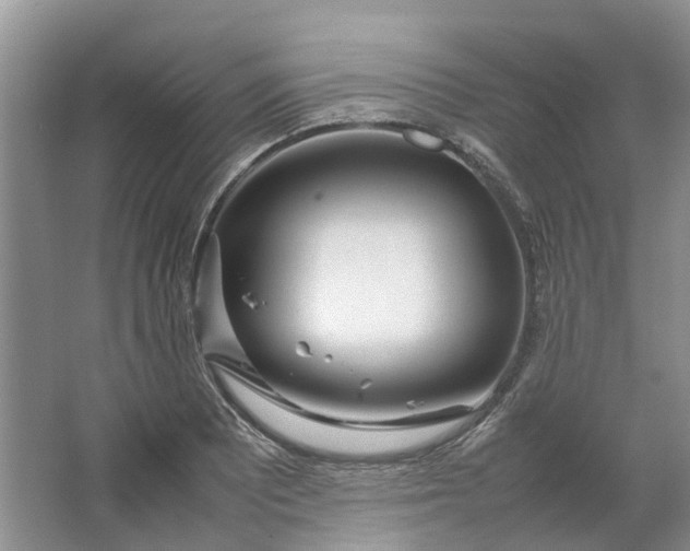 X0000064731081200602241709