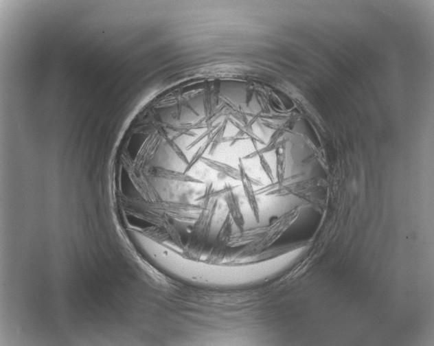 X0000064731083200602241709