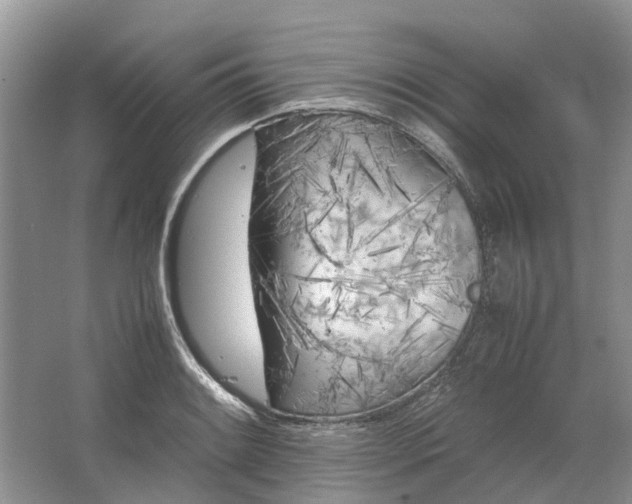 X0000064731084200602241709