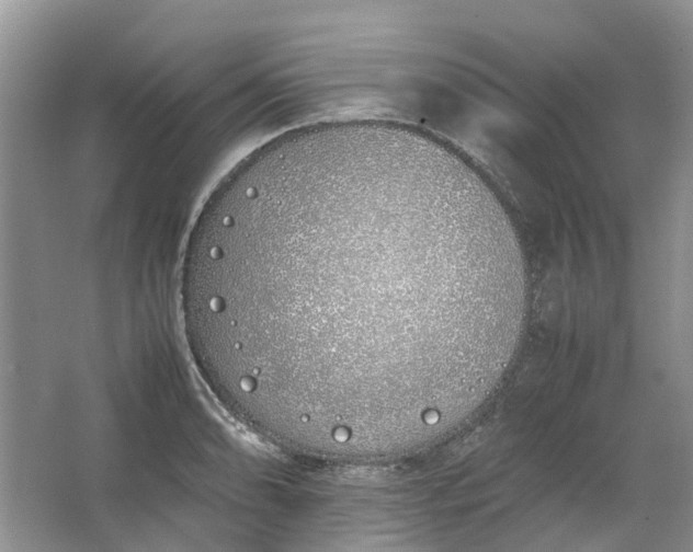 X0000064731086200602241709