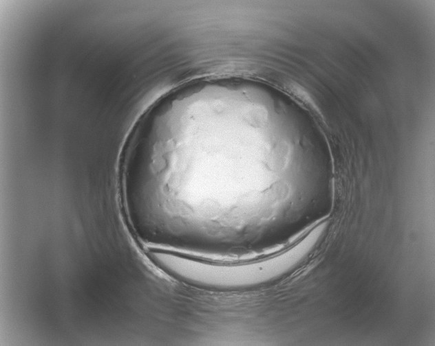 X0000064731087200602241709