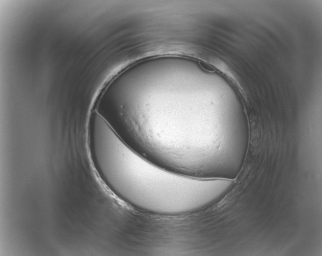 X0000064731088200602241709