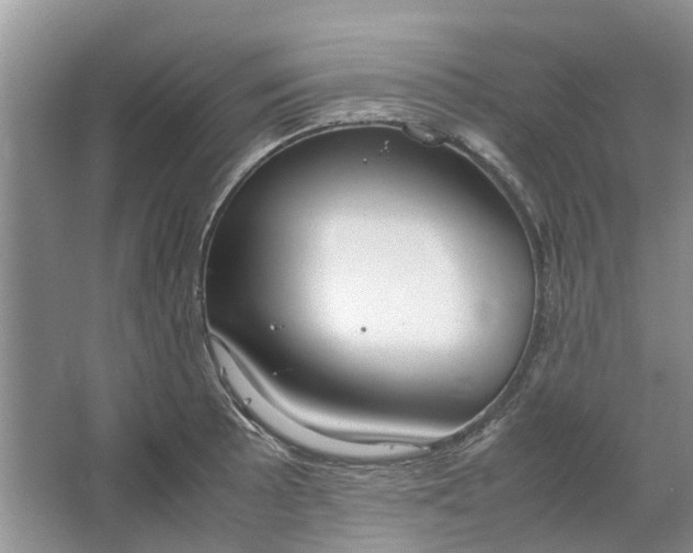 X0000064731089200602241709