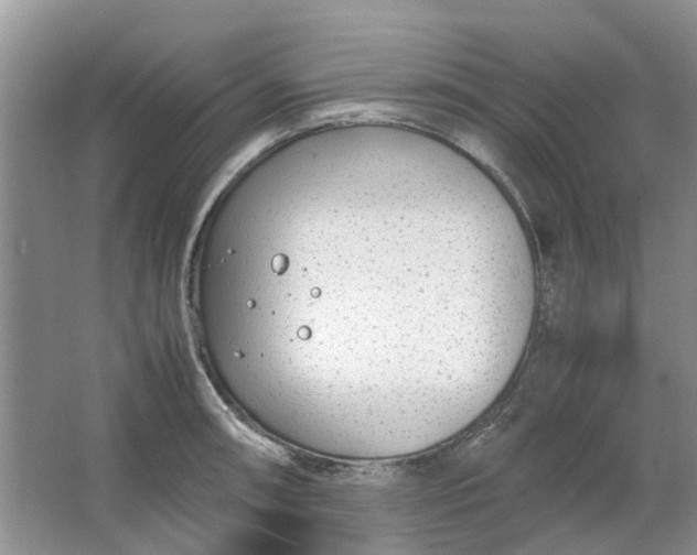 X0000064731090200602241709