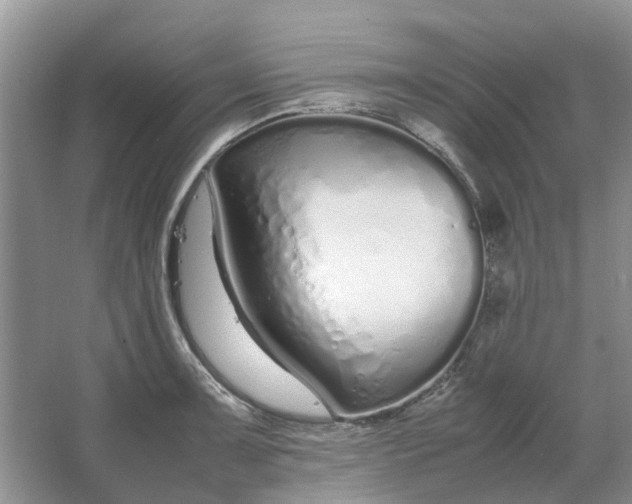 X0000064731091200602241709