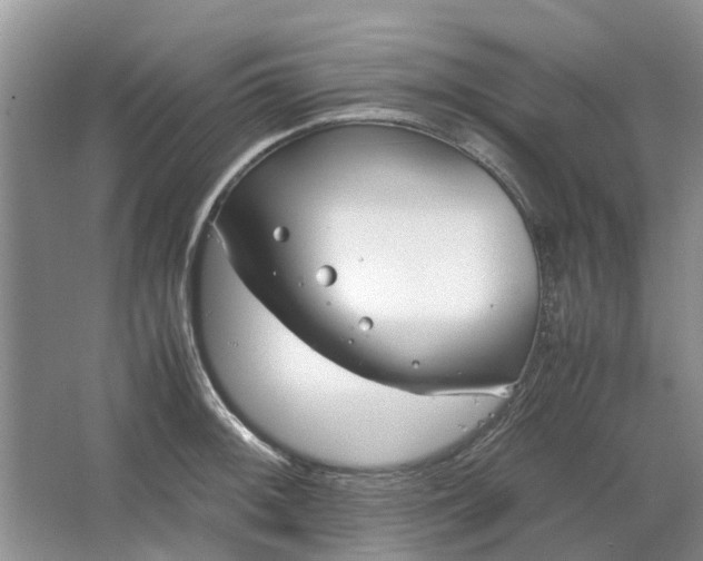 X0000064731092200602241709