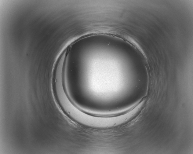 X0000064731093200602241709