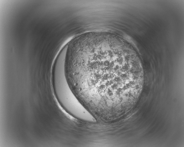 X0000064731095200602241709