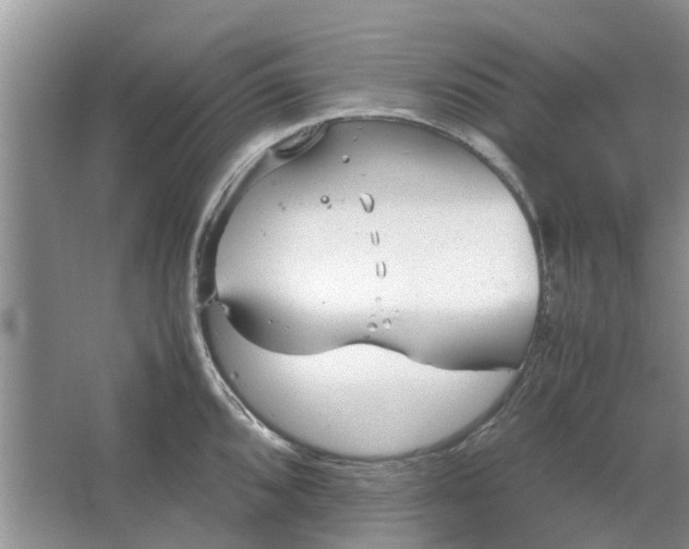 X0000064731096200602241708