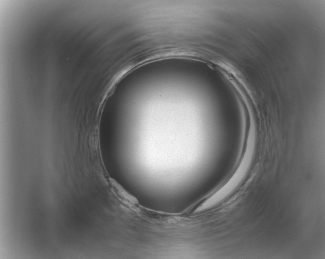 X0000064731097200602241708