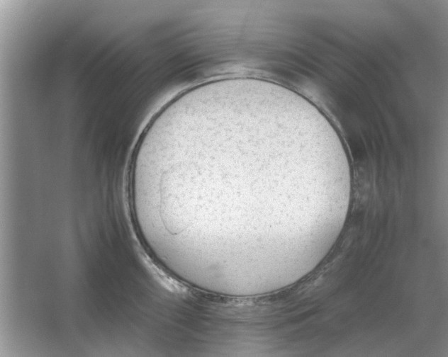 X0000064731098200602241708