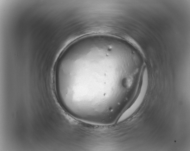 X0000064731099200602241708