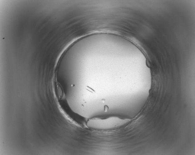 X0000064731100200602241708