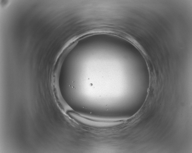 X0000064731101200602241708