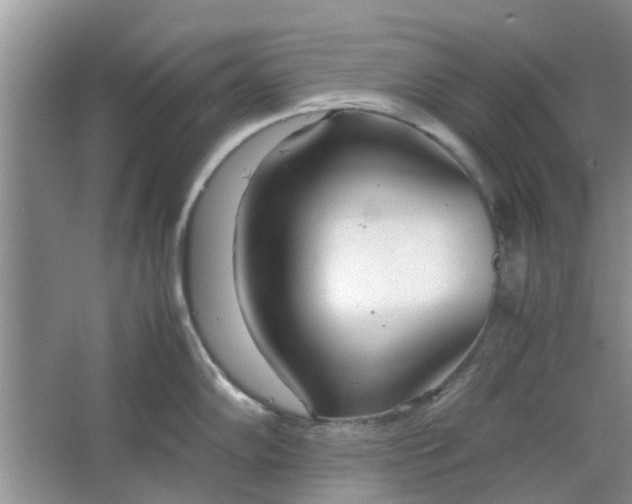 X0000064731102200602241708