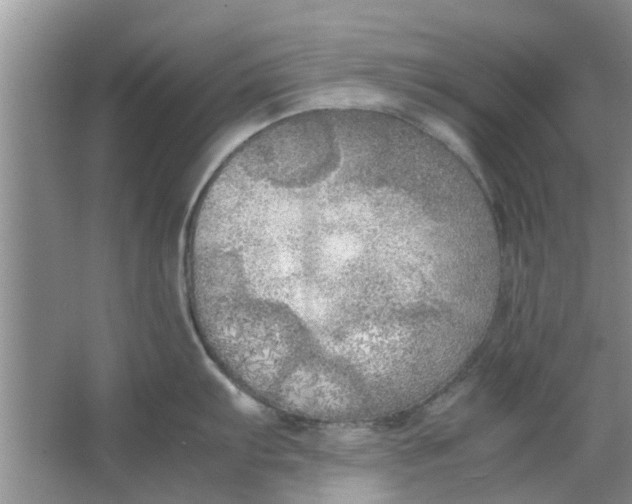 X0000064731103200602241708