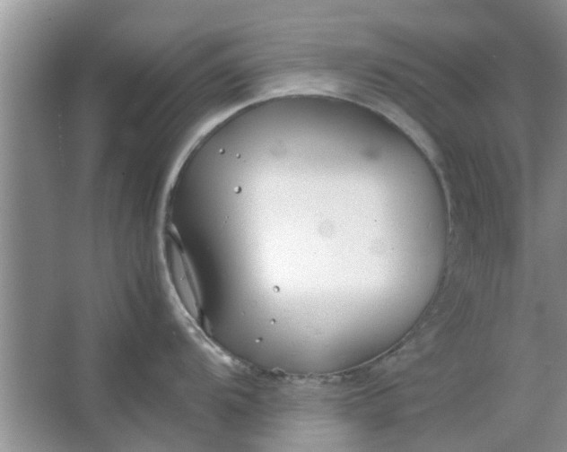 X0000064731104200602241708