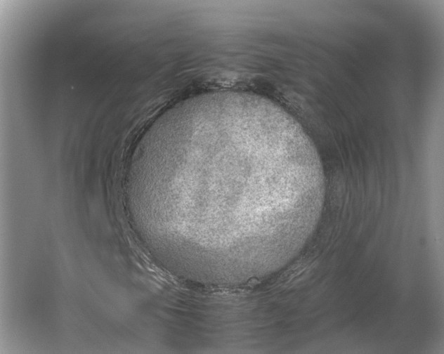 X0000064731105200602241707