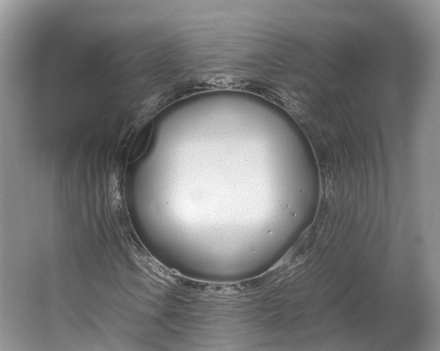 X0000064731106200602241707